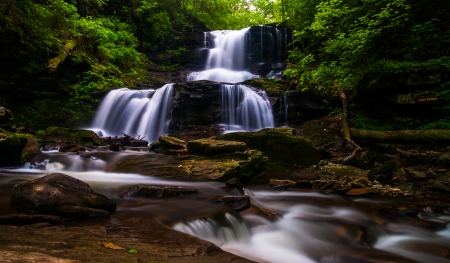 Tuscarora Falls, at Ricketts Glen State Park, Pennsylvania.の写真素材