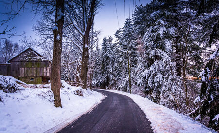 Snow covered pine trees and barn along a country road in rural Carroll County, Maryland.の写真素材