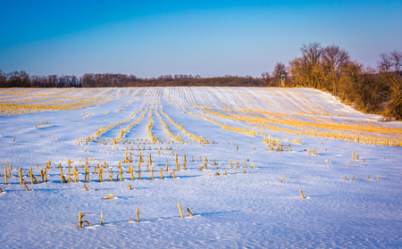 Snow-covered farm field in rural York County, Pennsylvania.の写真素材