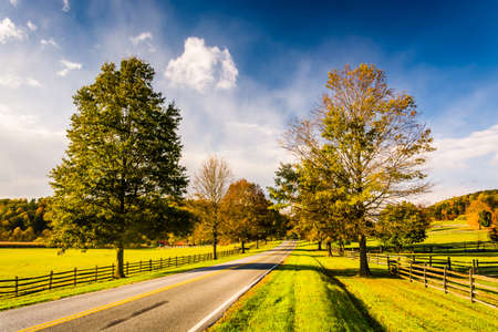 Trees and farm fields along a road in rural York County, Pennsylvania.の写真素材