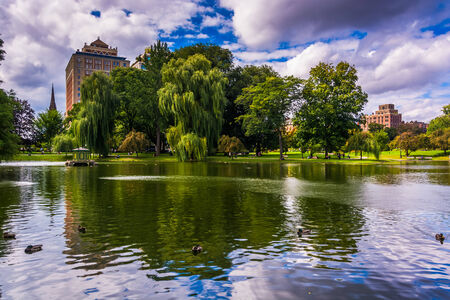 Building and weeping willow trees and a pond in the Boston Public Garden.の写真素材