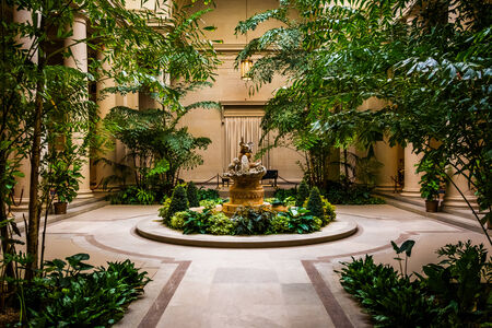 Indoor garden area in the National Gallery of Art in Washington, DC.のeditorial素材