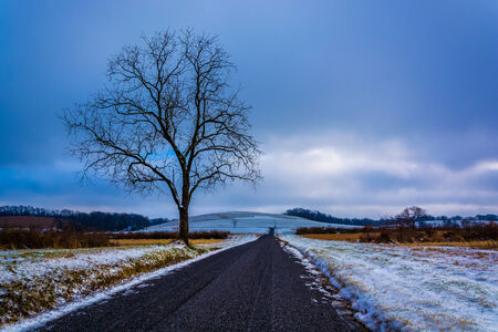 Tree along a road through snow covered farm fields in rural York County, Pennsylvania.の写真素材