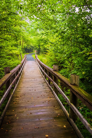 Walking bridge on the Limberlost Trail in Shenandoah National Park, Virginia.の写真素材