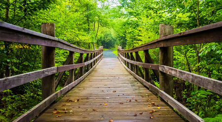 Walking bridge on the Limberlost Trail in Shenandoah National Park, Virginia.の写真素材