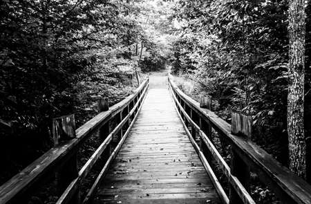 Walking bridge on the Limberlost Trail in Shenandoah National Park, Virginia.の写真素材