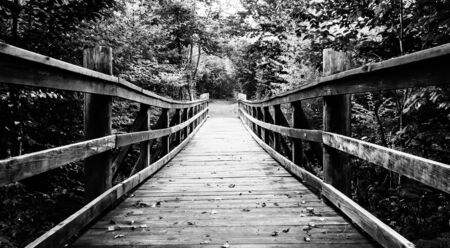 Walking bridge on the Limberlost Trail in Shenandoah National Park, Virginia.の写真素材