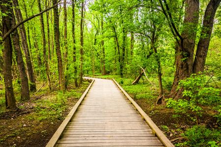 Boardwalk trail through the forest at Wildwood Park in Harrisburg, Pennsylvania.