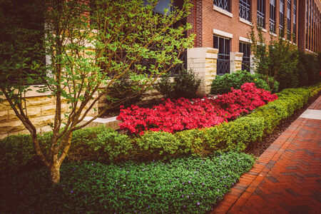 Colorful trees and bushes along a sidewalk in downtown Richmond, Virginia.の写真素材