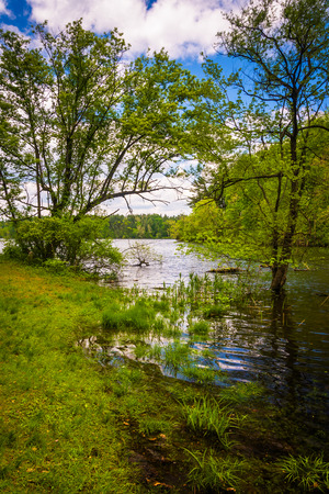 Flooding along the shore of Loch Raven Reservoir in Baltimore, Maryland.の写真素材