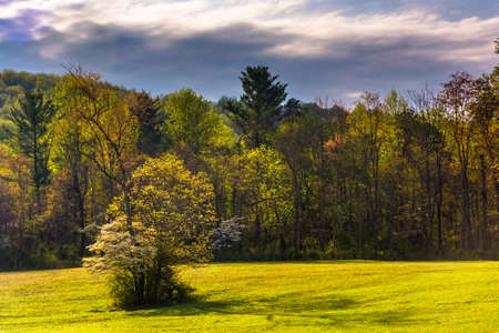 Spring color in the Shenandoah Valley, Virginia.の写真素材