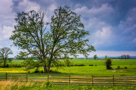 Storm clouds over a tree in a field, Gettysburg, Pennsylvania.の写真素材