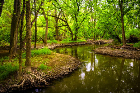 Stream at Wildwood Park, in Harrisburg, Pennsylvania.の写真素材