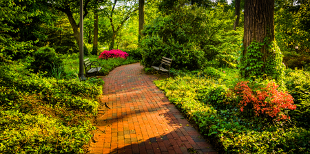 Brick path through a woodland garden at John Hopkins University in Baltimore, Maryland.の写真素材