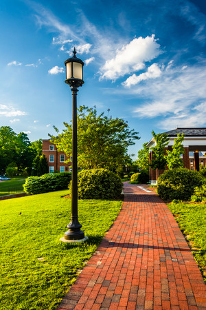 Streetlight along a brick walkway at John Hopkins University in Baltimore, Maryland.の写真素材