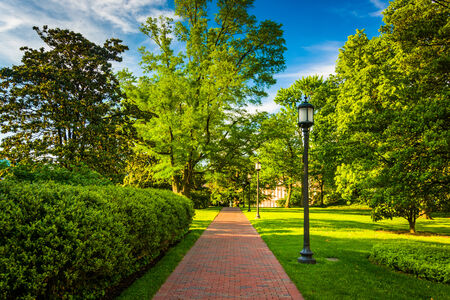 Streetlight and bushes along a brick walkway at John Hopkins University in Baltimore, Maryland.の写真素材