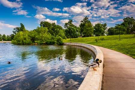 The pond at Patterson Park in Baltimore, Maryland.の写真素材