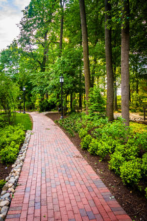 Trees and bushes along a brick path at John Hopkins University in Baltimore, Maryland.の写真素材