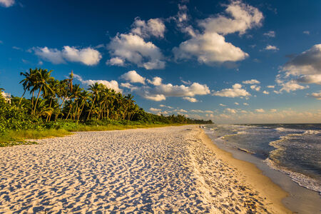 Evening light at the beach in Naples, Florida.の写真素材