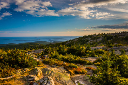 Evening view from Caddilac Mountain in Acadia National Park, Maine.の写真素材