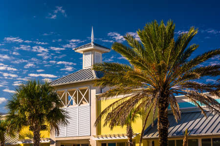 Palm trees and building in Vilano Beach, Florida.のeditorial素材