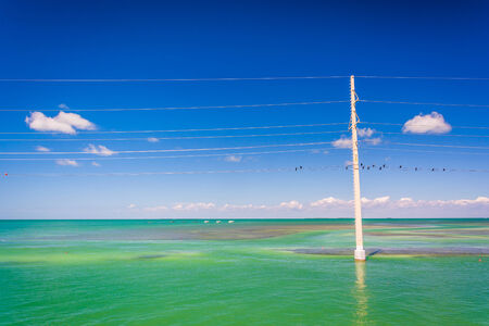 Turquoise waters and power lines in the Gulf of Mexico, seen from Islamorada, in the Florida Keys.の写真素材