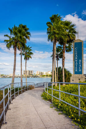 Clearwater Beach sign and palm trees along a path in Clearwater Beach, Florida.の写真素材