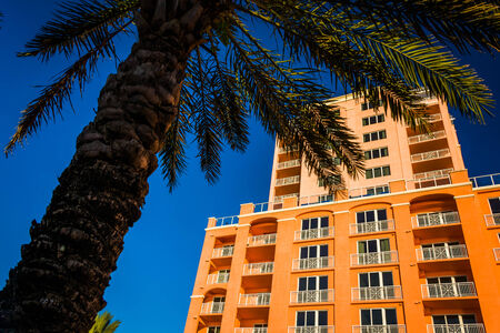 Large hotel and a palm tree in Clearwater Beach, Florida.のeditorial素材
