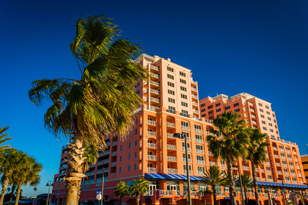 Palm trees and large hotel in Clearwater Beach, Florida.のeditorial素材