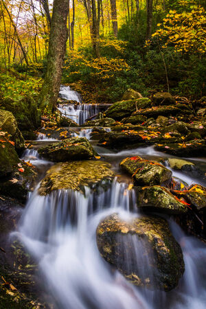 Autumn color and cascades on Stoney Fork, near the Blue Ridge Parkway, North Carolina.の写真素材