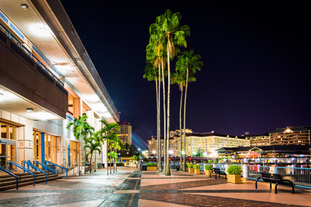 Palm trees and the exterior of the Convention Center at night in Tampa, Florida.のeditorial素材