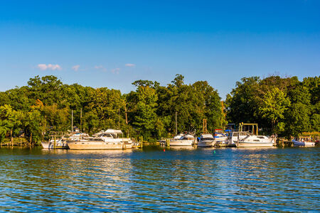 Boats docked in the Back River, seen at Cox Point Park, in Essex, Maryland.のeditorial素材