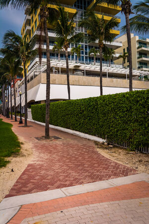 Hotel and palm trees in Miami Beach, Florida.の写真素材