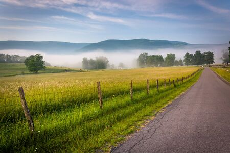Farm fields along a country road on a foggy morning in the Potomac Highlands of West Virginia.の写真素材