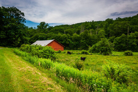 Red barn along the Blue Ridge Parkway, near Blowing Rock, North Carolina.の写真素材