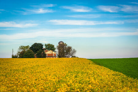 Farm fields in rural Lancaster County, Pennsylvania.の写真素材
