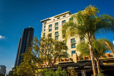 Palm trees and buildings in San Diego, California.のeditorial素材