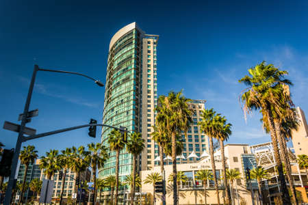 Palm trees and skyscraper in San Diego, California.のeditorial素材