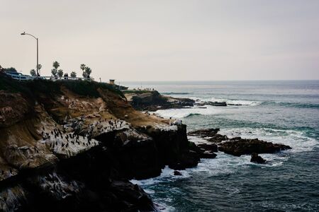 Waves crash on cliffs along the Pacific Ocean in La Jolla, California.の写真素材