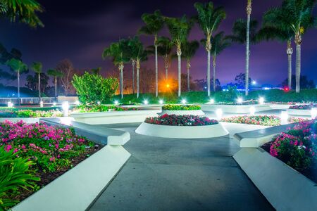 Gardens at the Church of Jesus Christ of Latter-Day Saints Temple at night in San Diego, California.の写真素材