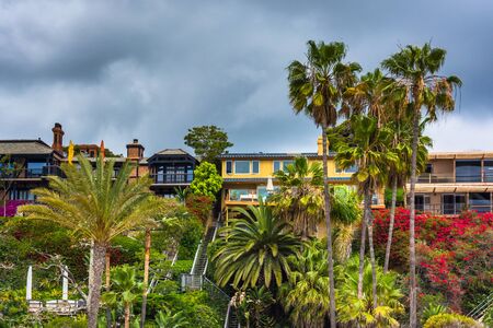 Palm trees and houses on cliffs above the Main Beach in Corona del Mar, California.のeditorial素材
