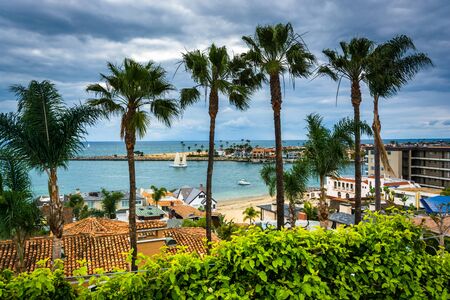 Palm trees and view of the Pacific Ocean in Corona del Mar, California.のeditorial素材