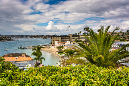 View from Lookout Point, in Corona del Mar, California.のeditorial素材