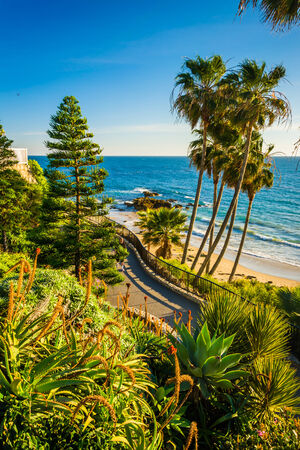 Flowers and view of the Pacific Ocean at Heisler Park, in Laguna Beach, California.の写真素材