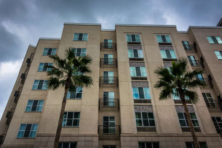 Palm trees and modern building in Long Beach, California.の写真素材