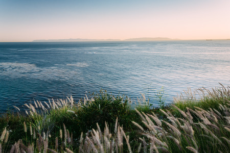 View of the Pacific Ocean in Rancho Palos Verdes, California.