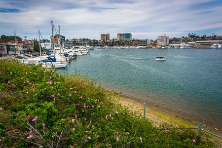 Flowers and view of the harbor, seen from Lido Isle, in Newport Beach, California.のeditorial素材