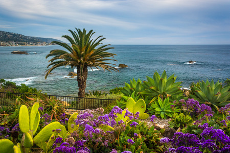 Garden and view of the Pacific Ocean at Heisler Park, in Laguna Beach, California.の写真素材