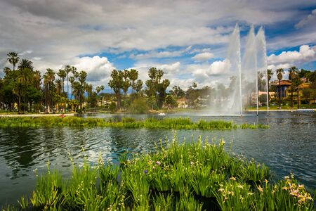 Grasses and a fountain in Echo Park Lake, in Los Angeles, California.の写真素材