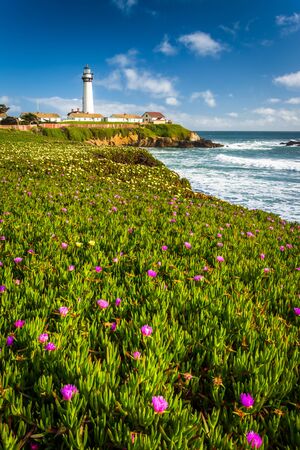 Flowers and view of Piegon Point Lighthouse in Pescadero, California.の写真素材